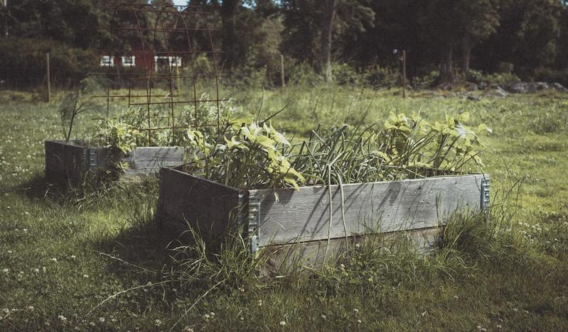 Hotel Folk Och Fae Grisslehamn Exteriér fotografie