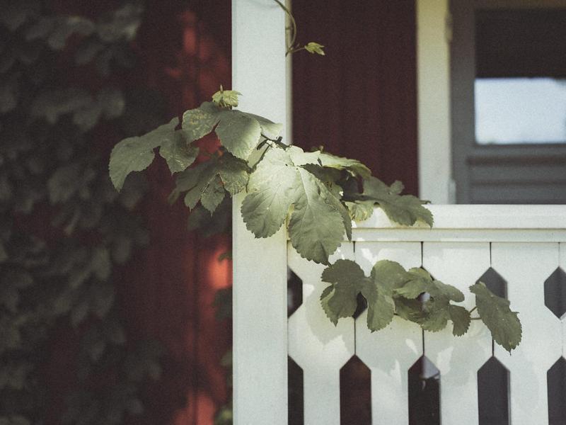 Hotel Folk Och Fae Grisslehamn Exteriér fotografie