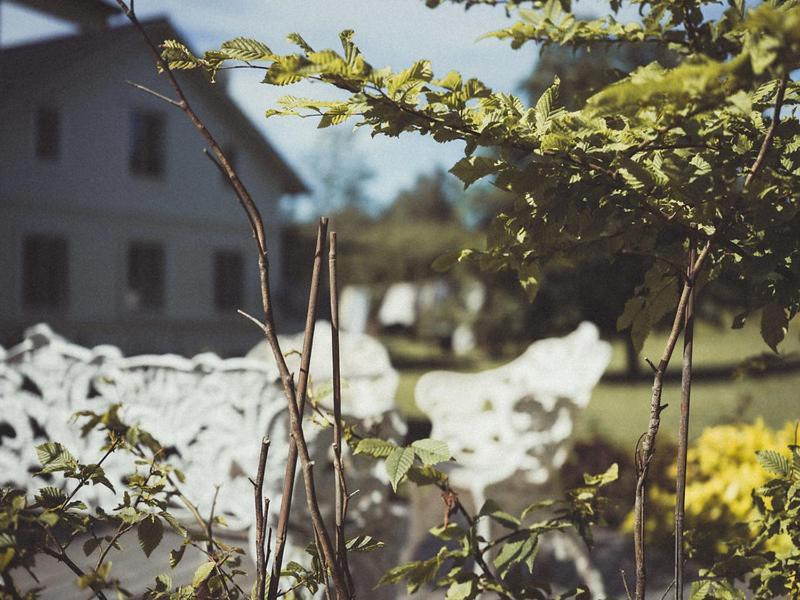 Hotel Folk Och Fae Grisslehamn Exteriér fotografie